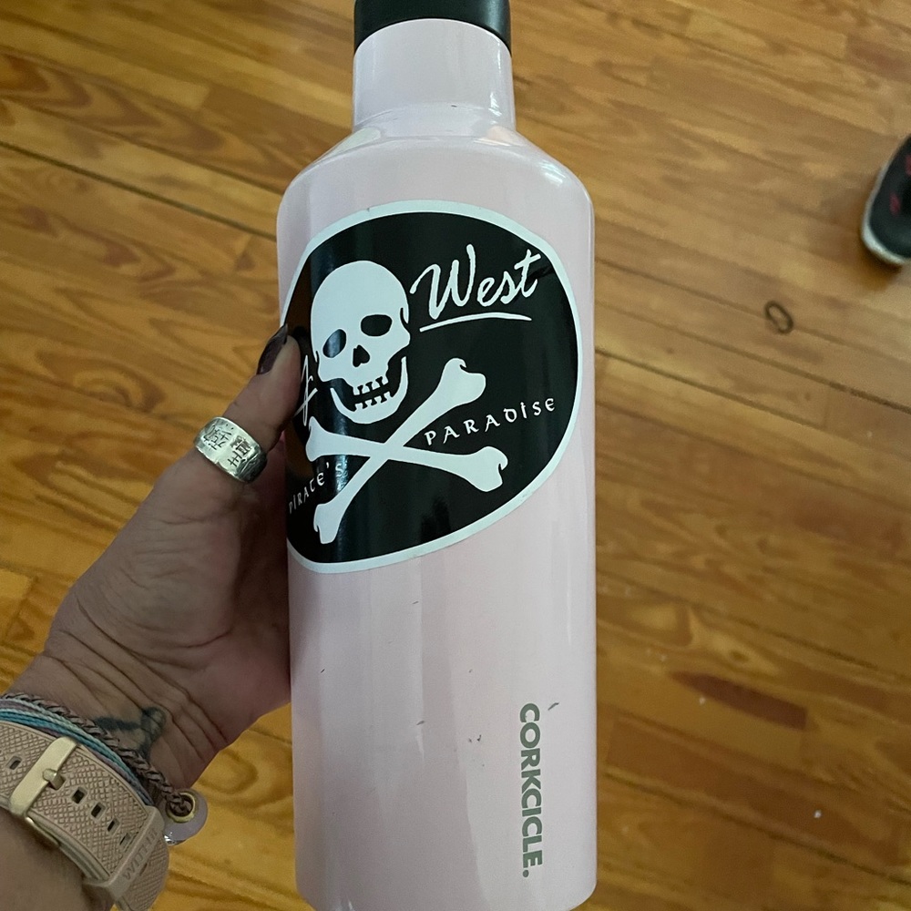 Corkcicle canteen